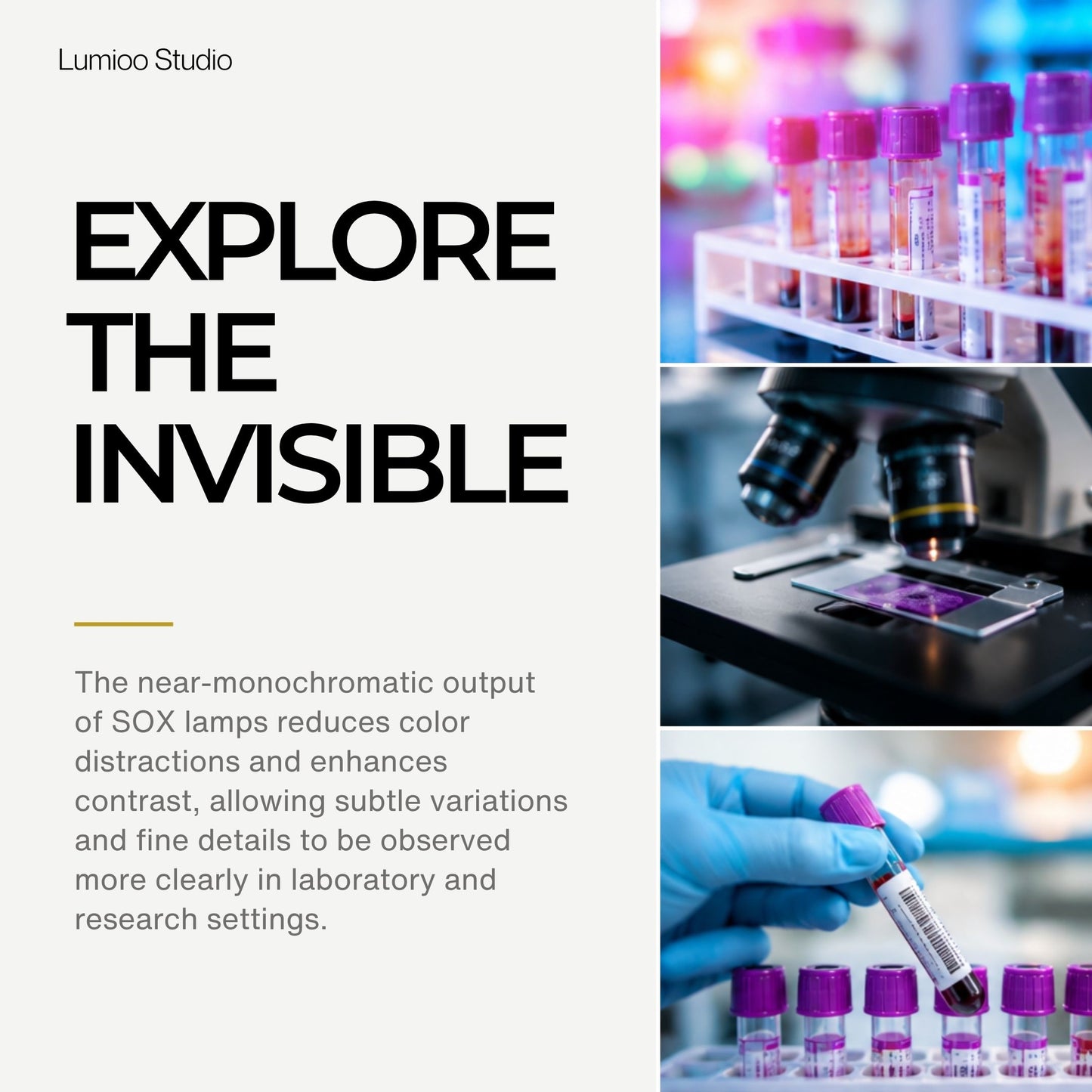 Promotional image for Lumino Studio with text 'Explore the Invisible' and images of laboratory equipment and samples.