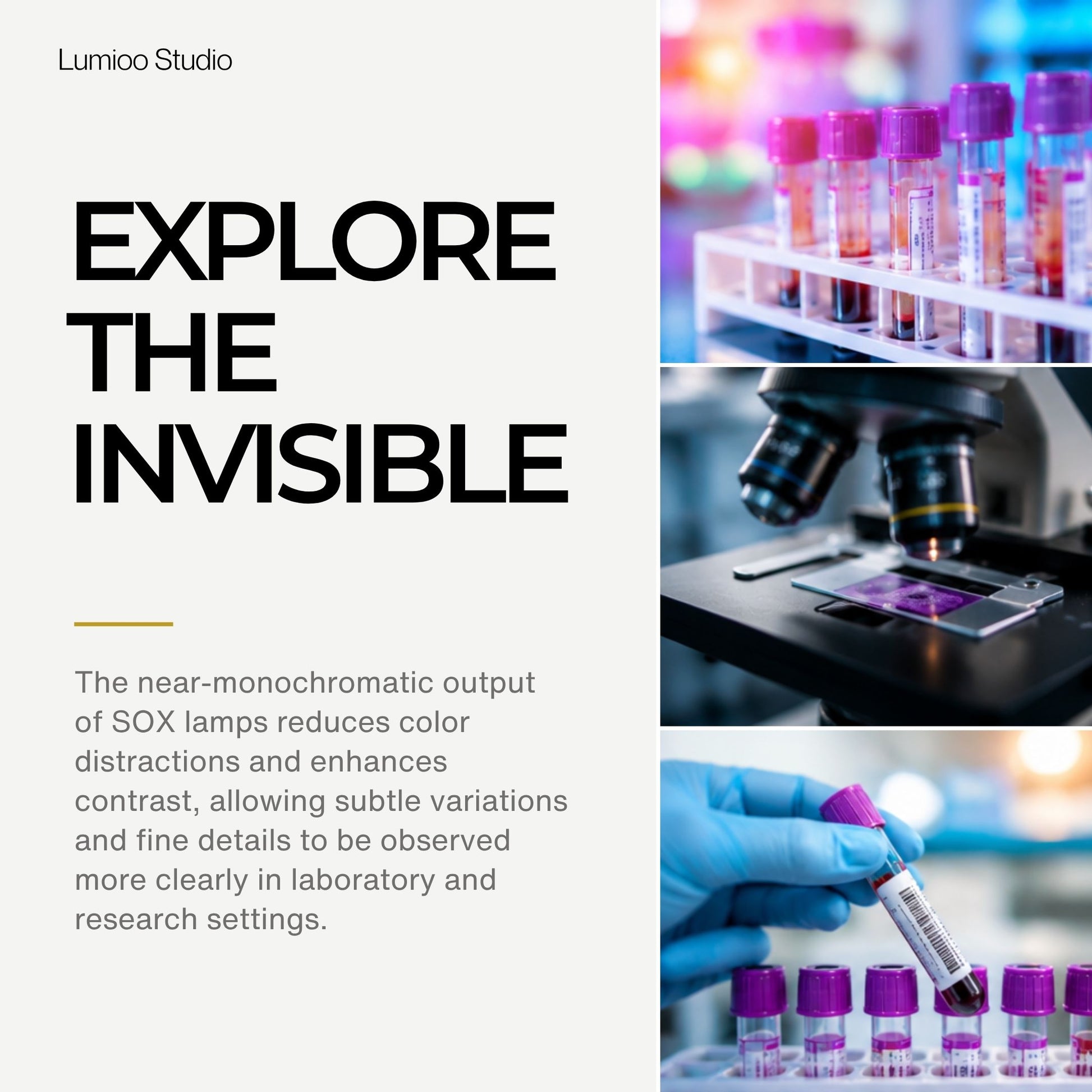 Promotional image for Lumino Studio with text 'Explore the Invisible' and images of laboratory equipment and samples.