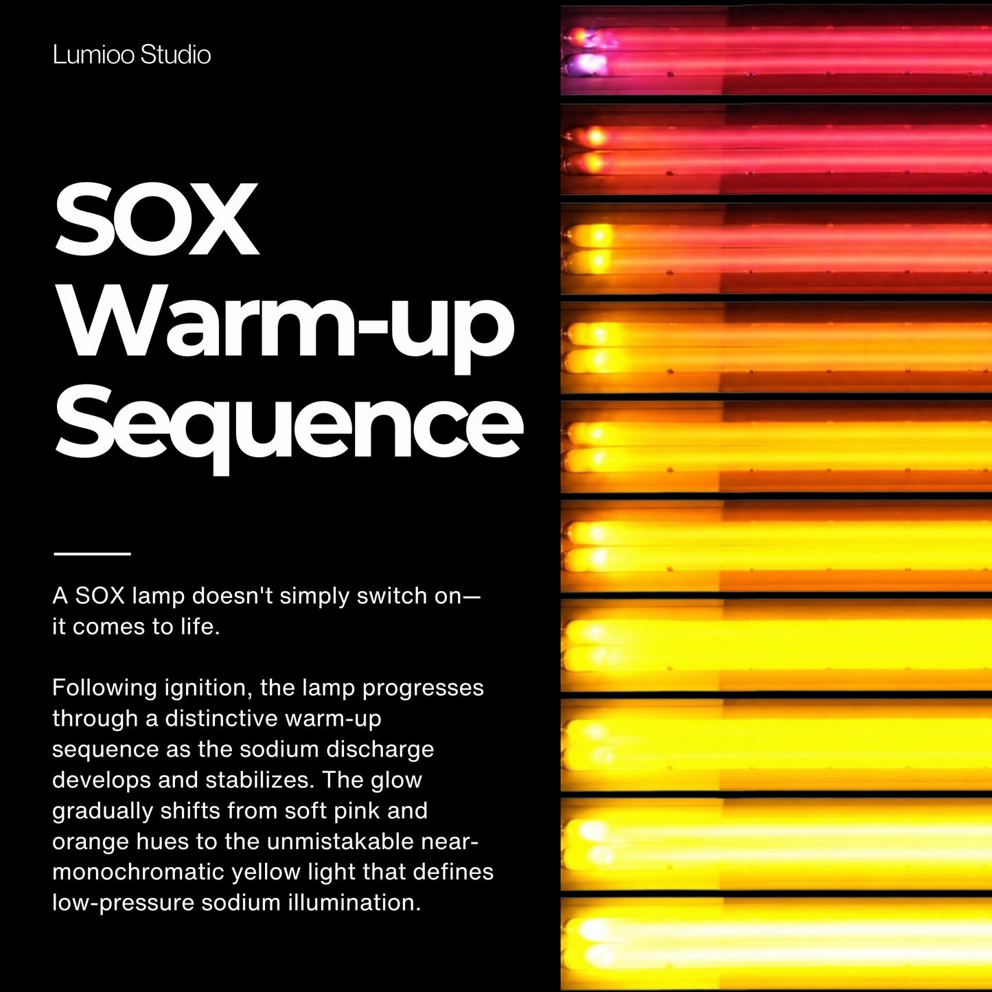 SOX Lamp Socket BY22D Base