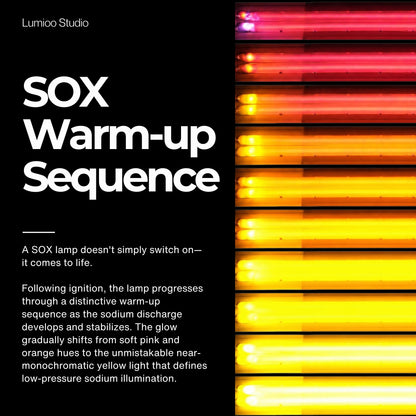 SOX Lamp Socket BY22D Base